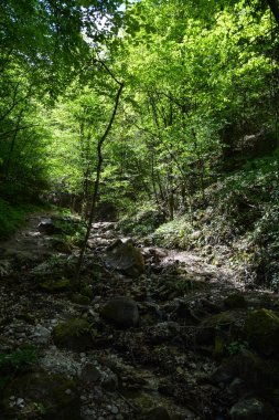 Harika bir doğal gözlük Rastenbach muhteşemdir, göl Kalterer, South Tyrol, İtalya,