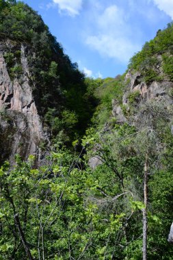 Harika bir doğal gözlük Rastenbach muhteşemdir, göl Kalterer, South Tyrol, İtalya,