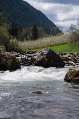 Nehir Noce Caldes, South Tyrol, İtalya