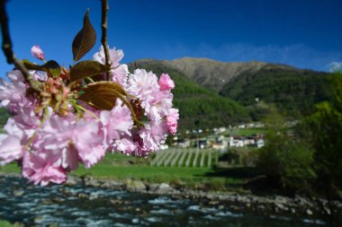 İtalya'nın Kuzey İtalya'daki Trentino de Caldes olduğunu