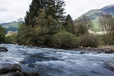 Nehir Noce Caldes, South Tyrol, İtalya