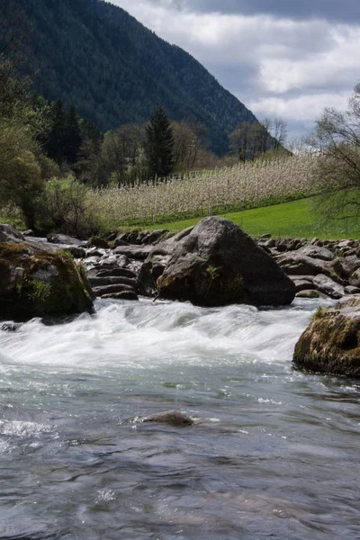 River Noce Caldes South Tyrol Italy — Stock Photo, Image