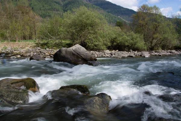 Sungai Noce Caldes Tyrol Selatan Italia — Stok Foto