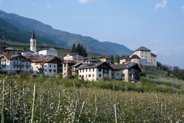 Talya Nın Kuzey Talya Daki Trentino Caldes Olduğunu — Stok fotoğraf