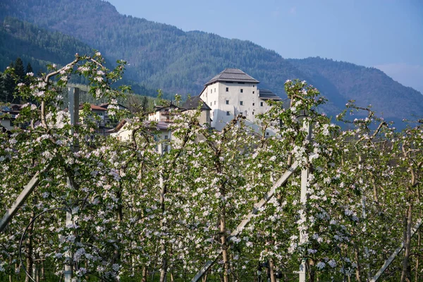 Caldes Miejscowość Gmina Francji Regionie Trentino Północnych Włoszech — Zdjęcie stockowe