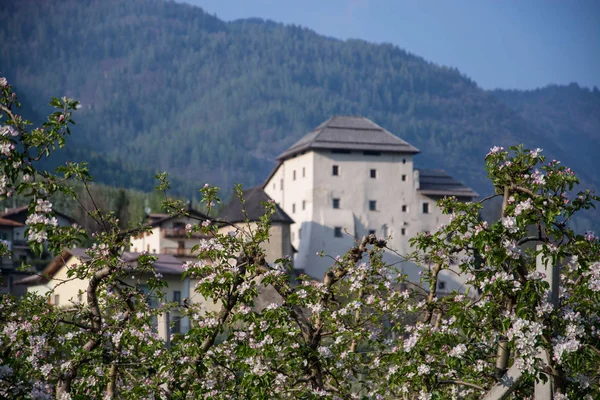 Caldes Ist Eine Gemeinde Trentino Norditalien — Stockfoto