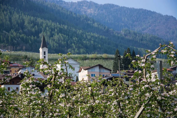 Caldes Egy Trentino Észak Olaszország — Stock Fotó