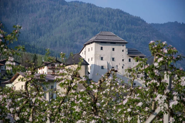 Caldes Caldes Trentino Comune Italiano Abitanti Della Provincia Trento — Foto Stock