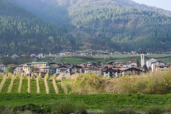 Caldes Caldes Trentino Comune Italiano Abitanti Della Provincia Trento — Foto Stock