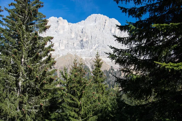 Grupa Rosengarten Włoski Catinaccio Masyw Dolomitach Północnych Włoszech — Zdjęcie stockowe