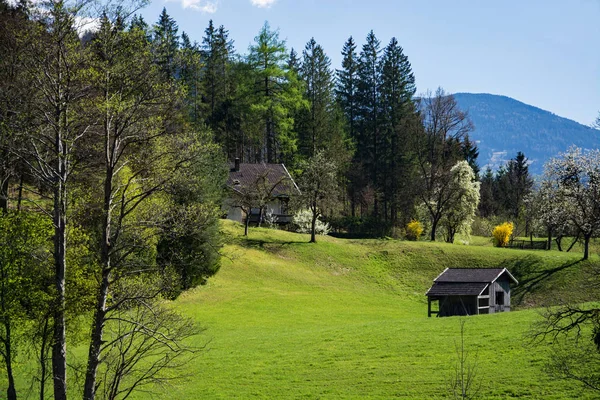 Hora Nedaleko Kramsachu Rakousku Během Jarní Doby — Stock fotografie
