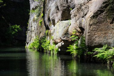 Kamnitz gorge, Bohemia, Çek Cumhuriyeti