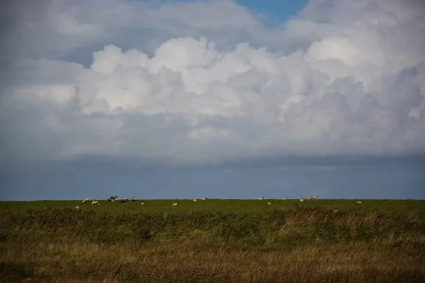 Dike in Greetsiel, Nedersaksen, Duitsland — Stockfoto