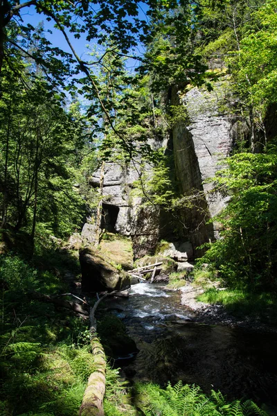 Kamnitz gorge, Bohémia, Csehország — Stock Fotó