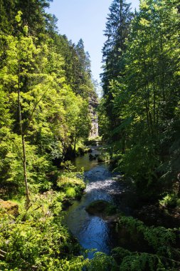 Kamnitz gorge, Bohemia, Çek Cumhuriyeti