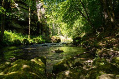Kamnitz gorge, Bohemia, Çek Cumhuriyeti
