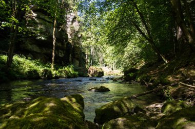 Kamnitz gorge, Bohemia, Çek Cumhuriyeti