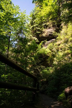 Kamnitz gorge, Bohemia, Çek Cumhuriyeti