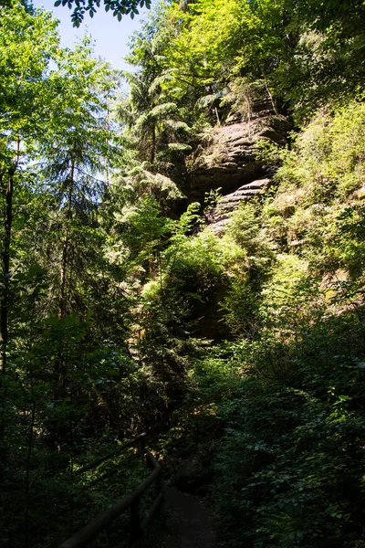 Kamnitz gorge, Bohémia, Csehország — Stock Fotó