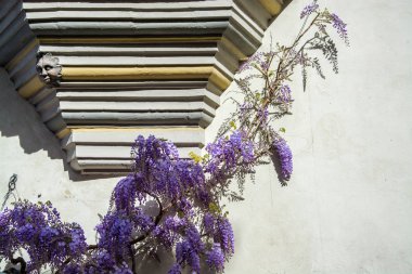 Meersburg Şatosu, Baden-Wuerttemberg, Almanya