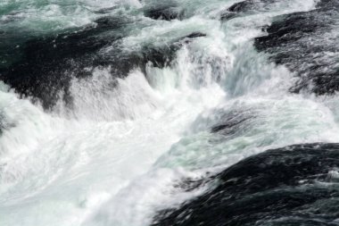 Schaffhausen, İsviçre 'den Rhine Falls
