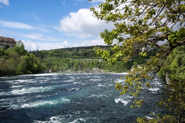 瑞士沙夫豪森莱茵河瀑布 — 图库照片