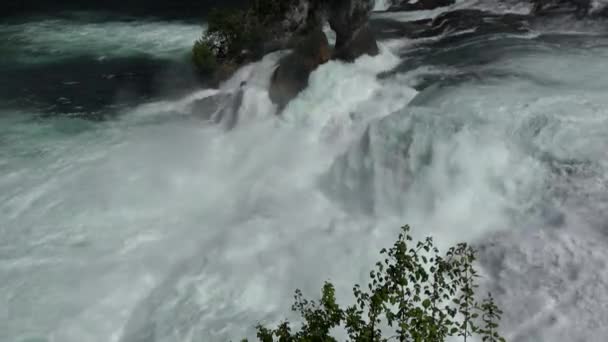 Rhen Falls Ett Vattenfall Beläget Schweiz Och Det Mäktigaste Vattenfallet — Stockvideo