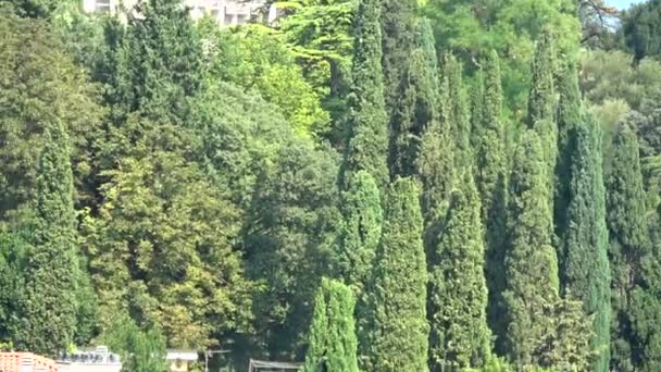 Sirmione Ist Eine Stadt Der Provinz Brescia Lombardei Hat Ein — Stockvideo