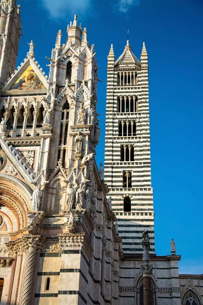 Sienas katedral, Toscana, Italien — Stockfoto