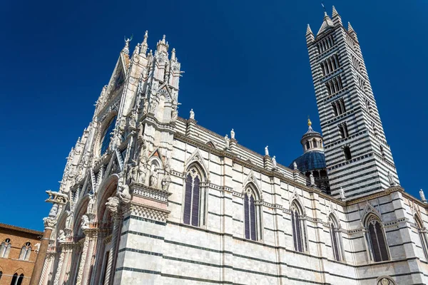 Sienas katedral, Toscana, Italien — Stockfoto