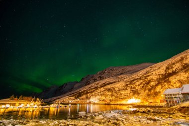 Kutup ışıkları ya da kuzey ışıkları olarak da adlandırılan Aurora borealis, Dünya 'nın yüksek enlem bölgelerinde ağırlıklı olarak görülen doğal bir ışık göstergesidir..