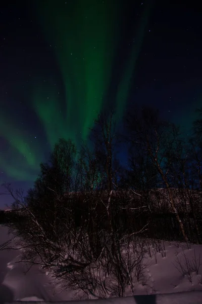 Uma Aurora Boreal Vezes Referida Como Luzes Polares Luzes Norte — Fotografia de Stock