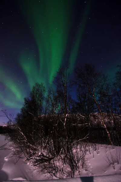 Una Aurora Boreal Veces Conocida Como Luces Polares Auroras Boreales —  Fotos de Stock