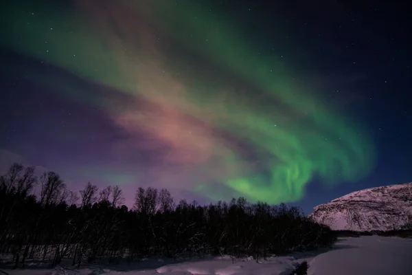Uma Aurora Boreal Vezes Referida Como Luzes Polares Luzes Norte — Fotografia de Stock