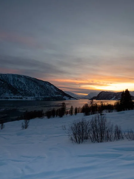 트롬스 아곡핀 Troms Finnmark 노르웨이 북부에 주이며 2020 설립되었다 — 스톡 사진