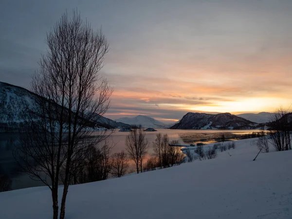 Troms Finnmark Norveç Kuzeyinde Ocak 2020 Tarihinde Kurulmuş Bir Ilçe — Stok fotoğraf