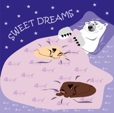 Kutup ayısı kedi ile yatakta kartıyla tatlı rüyalar