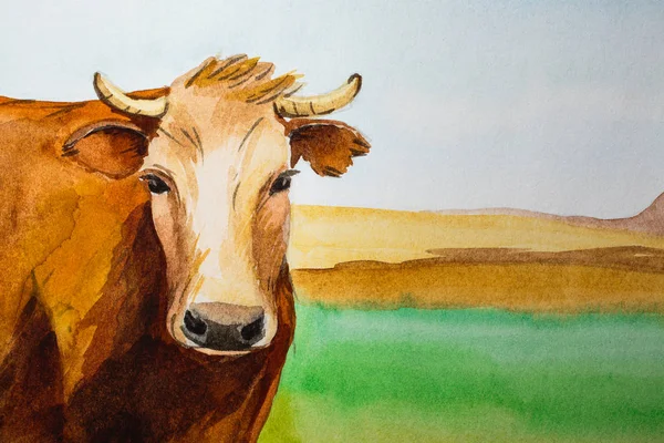 Watercolor painting cows — Stock Photo, Image