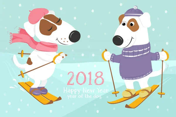 Köpek giysi altında kar kayak.