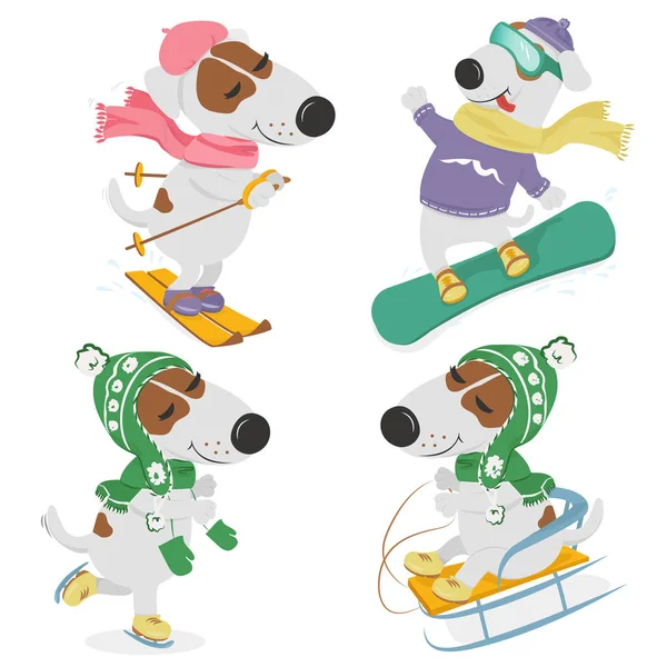 Perros y deportes de invierno . — Vector de stock