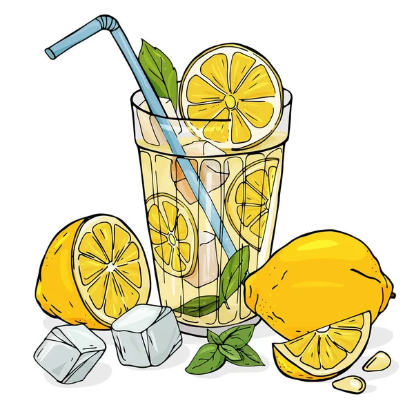 冰和薄荷的玻璃杯中的柠檬水。一整柠檬, 一半, 一片种子. — 图库矢量图片
