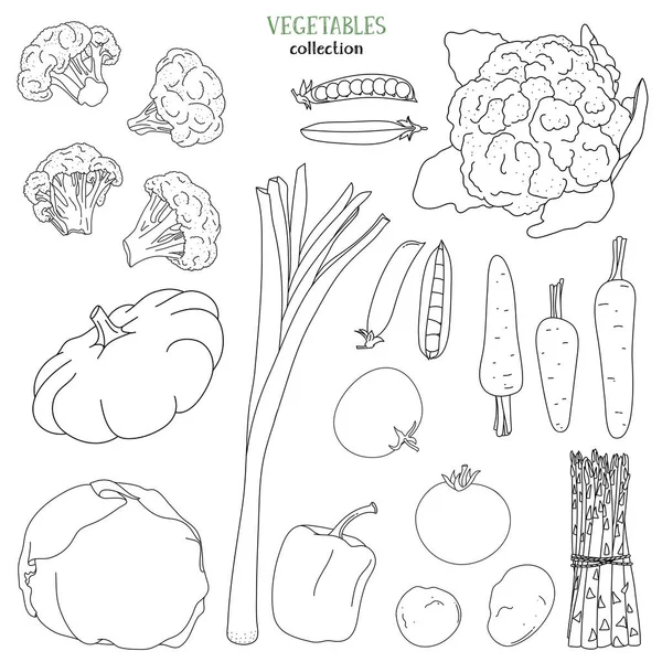 Набор с овощами. Черный контур на белом фоне . — стоковый вектор