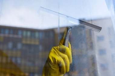 Scraper for washing windows in hands in yellow gloves.  clipart