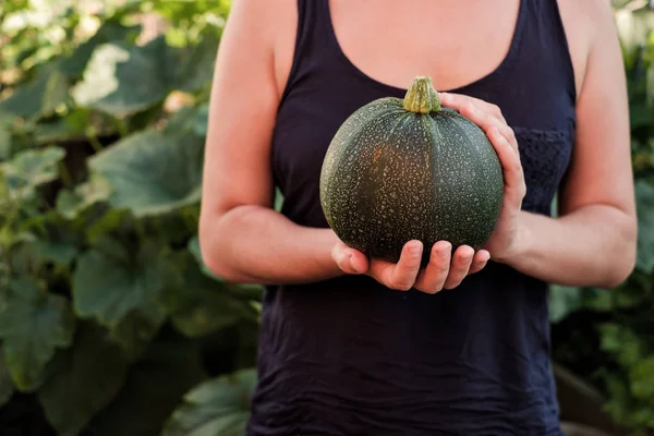 Mujer sosteniendo verde calabaza redonda en las manos . — Foto de Stock