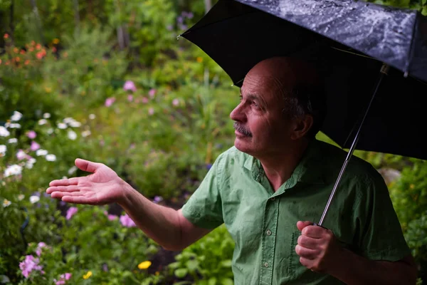 Homem andando no jardim com guarda-chuva durante a chuva . — Fotografia de Stock