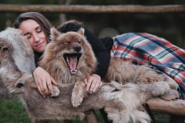 Güzel bir kadın ve onu köpek nenets çoban laika uyurken
