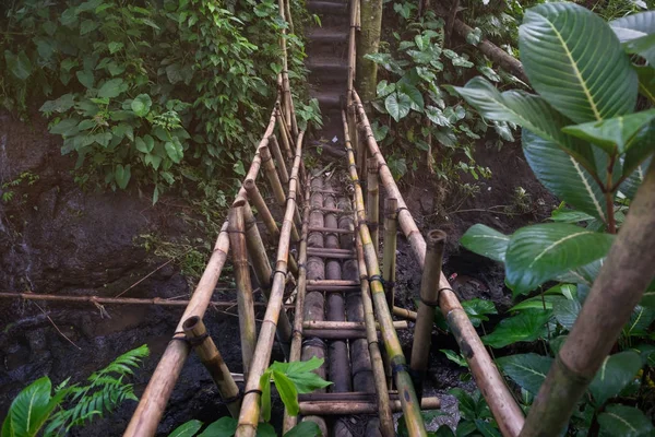 Pont suspendu menant à un autre côté dans la jungle . — Photo