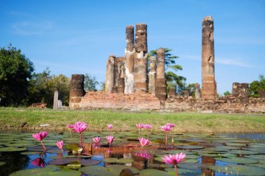 Benim oğlum Hindu tapınağı Vietnam'da mahveder. Cham Tapınağı kalıntıları orman