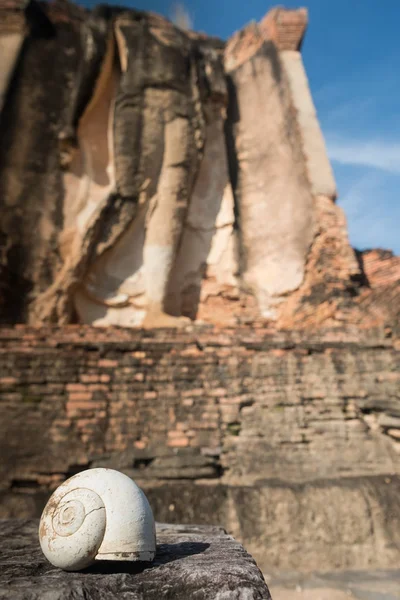 As ruínas do templo Hindu no Vietname. Cham templo permanece na selva — Fotografia de Stock