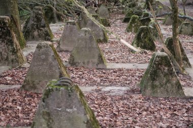 Avrupa ormanında tanksavar dişleri. İkinci Dünya Savaşı izleri..